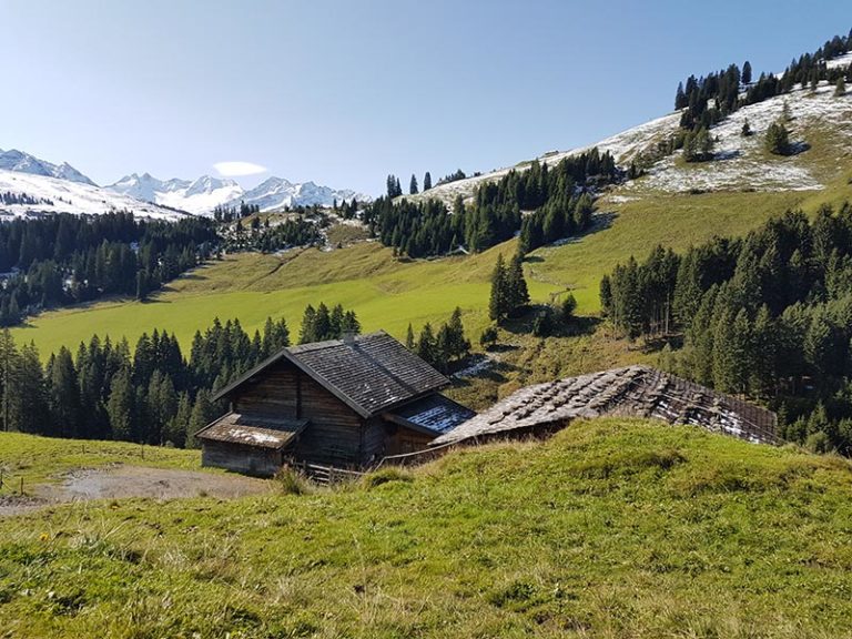 Hochkrimml Sommer 4
